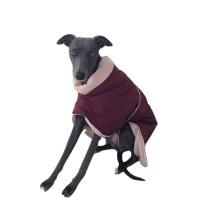 The Trendy Whippet image 4